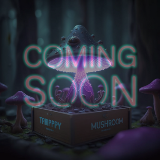 Trippy Mushroom (COMING SOON)